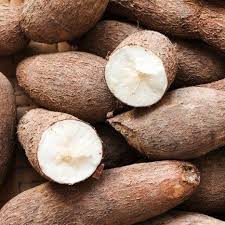 Agro Food Products, Topiaca Products